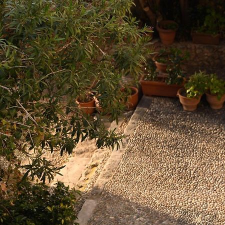 Casa Artia Villa Chania  Exteriör bild